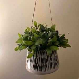 Hanging plant